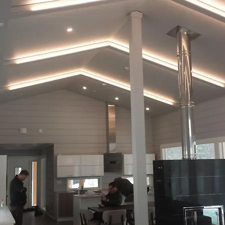 别墅 Sleepwell Hartola By The *