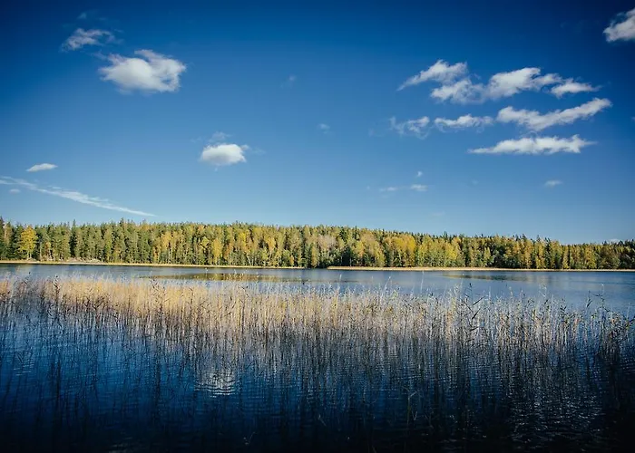 Villa Sleepwell Hartola By The